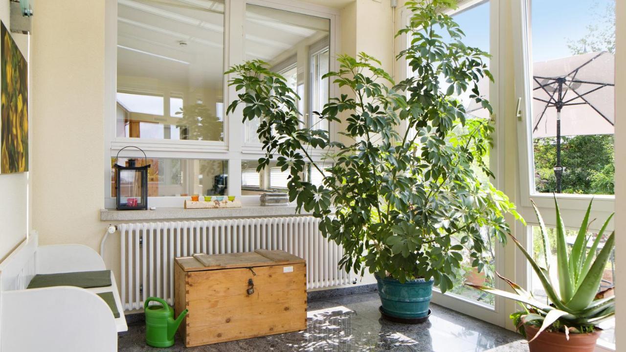 Ferienwohnung Zum Goldenen Kopf Эльцах Экстерьер фото